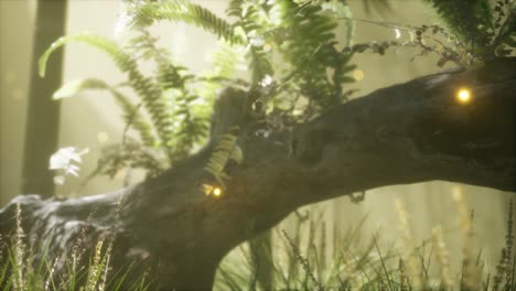 tronco del árbol doblado horizontalmente con helechos creciendo, y la luz del sol brillando