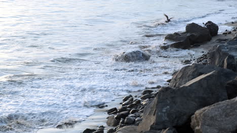 Milde,-Ruhige-Wellen,-Die-Zur-Goldenen-Magischen-Stunde-Die-Küste-Am-Großen-Felsstrand-In-Malibu-Caflifornia-Treffen