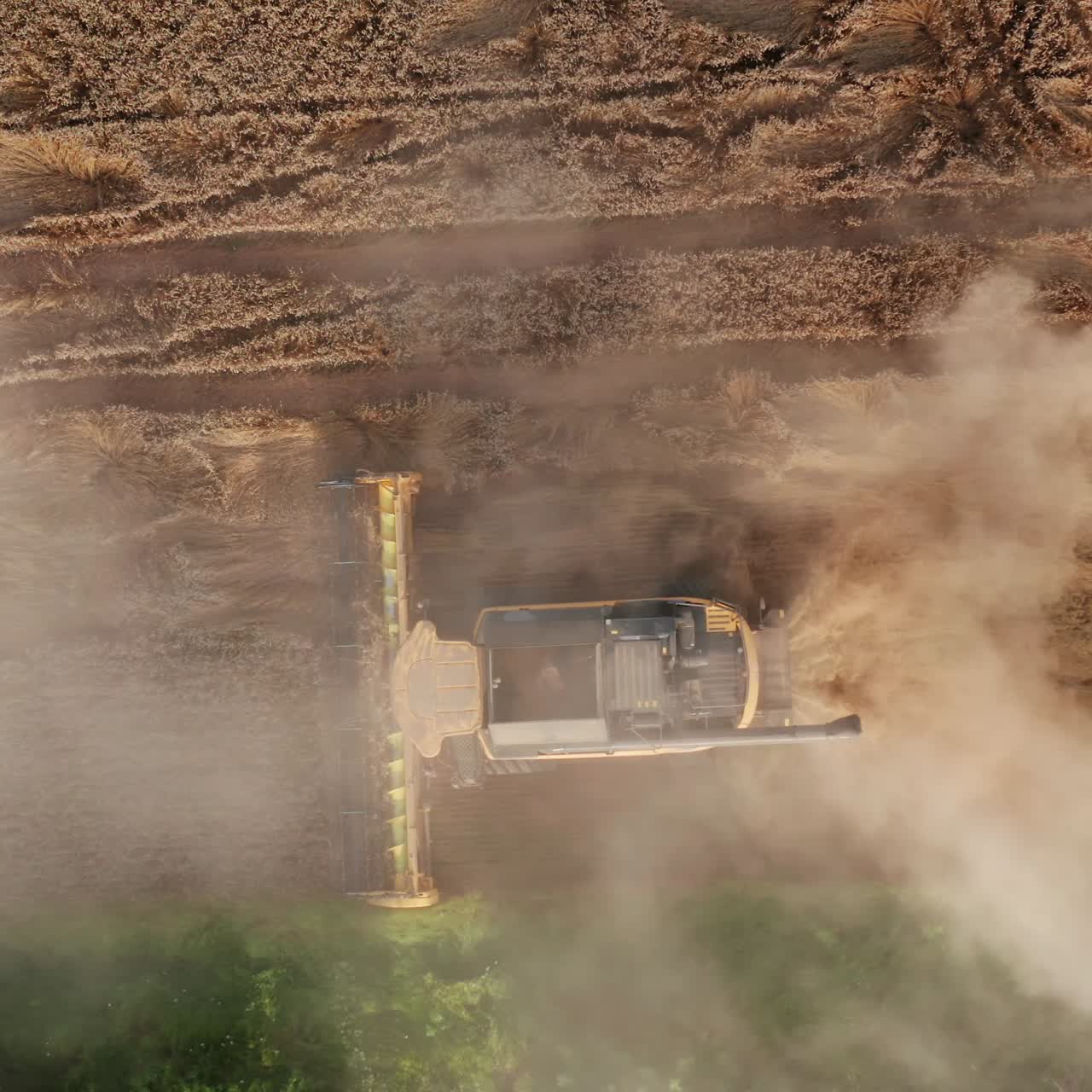 Yellow harvester mowing the wheat in farmlands. Powerful combine moving in the dusty clouds. View from above