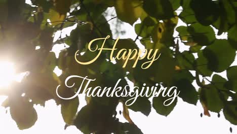 Animation-of-happy-thanksgiving-text-over-leaves-on-trees