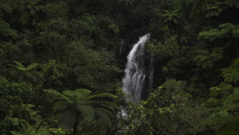 Tavarua-Wainibau-Falls-waterfalls-jungle-mountain-Taveuni-Garden-Island-coral-coast-reef-break-sand-tropical-peaceful-palm-coconut-trees-rainy-cloudy-stunning-static-shot-Tourism-Fiji-slow-motion