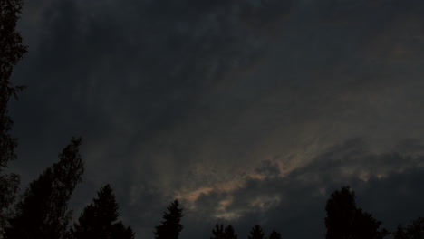 beautiful timelapse of fast moving clouds and swaying trees when day turns to night