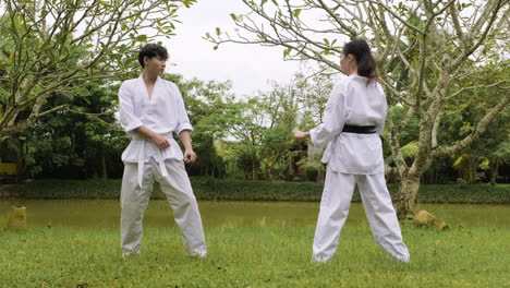 couple practising martial arts together