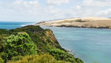 hermosas plantas verdes y dunas de arena en la costa de kauri y aguas tropicales del océano pacífico