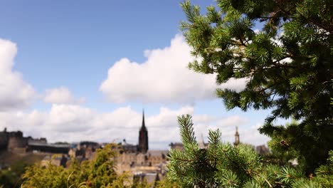 panoramic view of edinburgh with tree in foreground