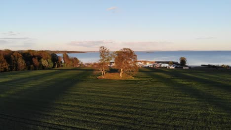 Volando-Hacia-El-Cementerio-De-La-Era-Vikinga-En-El-Sur-De-Noruega