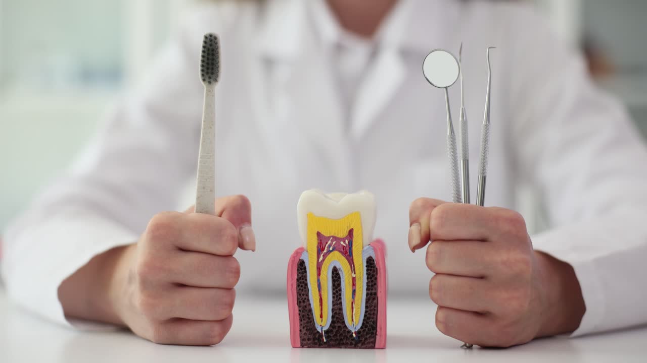 Dentist holding dental tools next to a tooth model