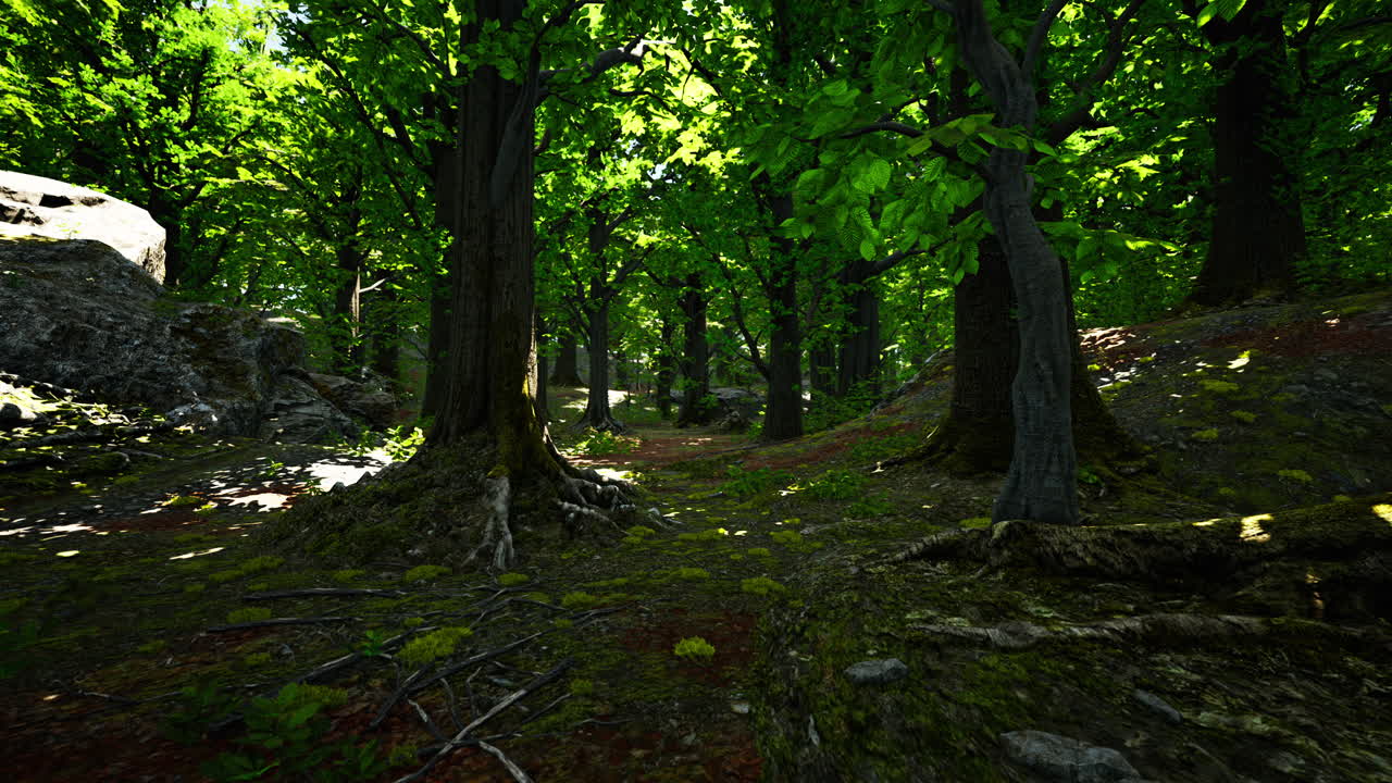 la luz del sol filtrándose a través de un denso bosque verde