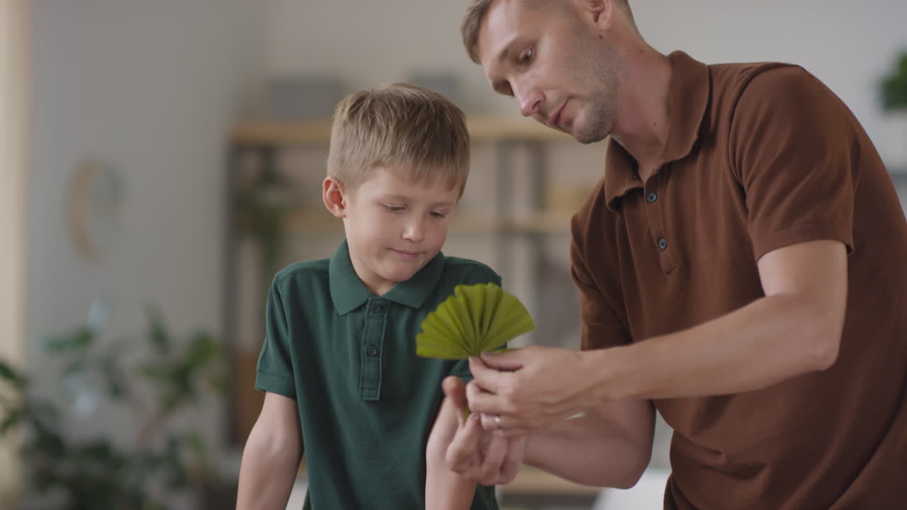 padre e hijo examinando una hoja