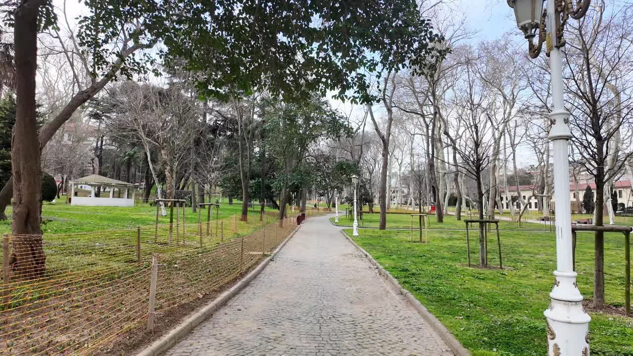 Sendero pavimentado bordeado de árboles y césped verde en un parque sereno
