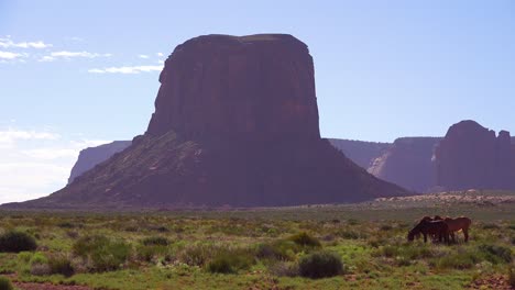 Los-Caballos-Pastan-Con-La-Belleza-Natural-Del-Valle-Del-Monumento-Utah-En-El-Fondo-7