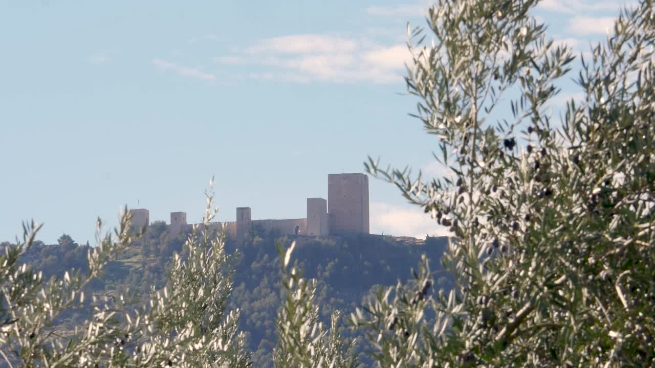 올리브 나무 사이에 있는 자엔 성