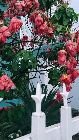 pink flowers in a tropical garden