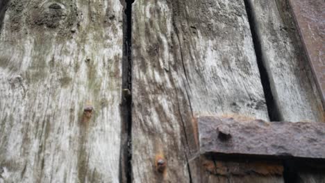 grungy vintage weathered wooden plank board timber and rusted steel surface dolly right