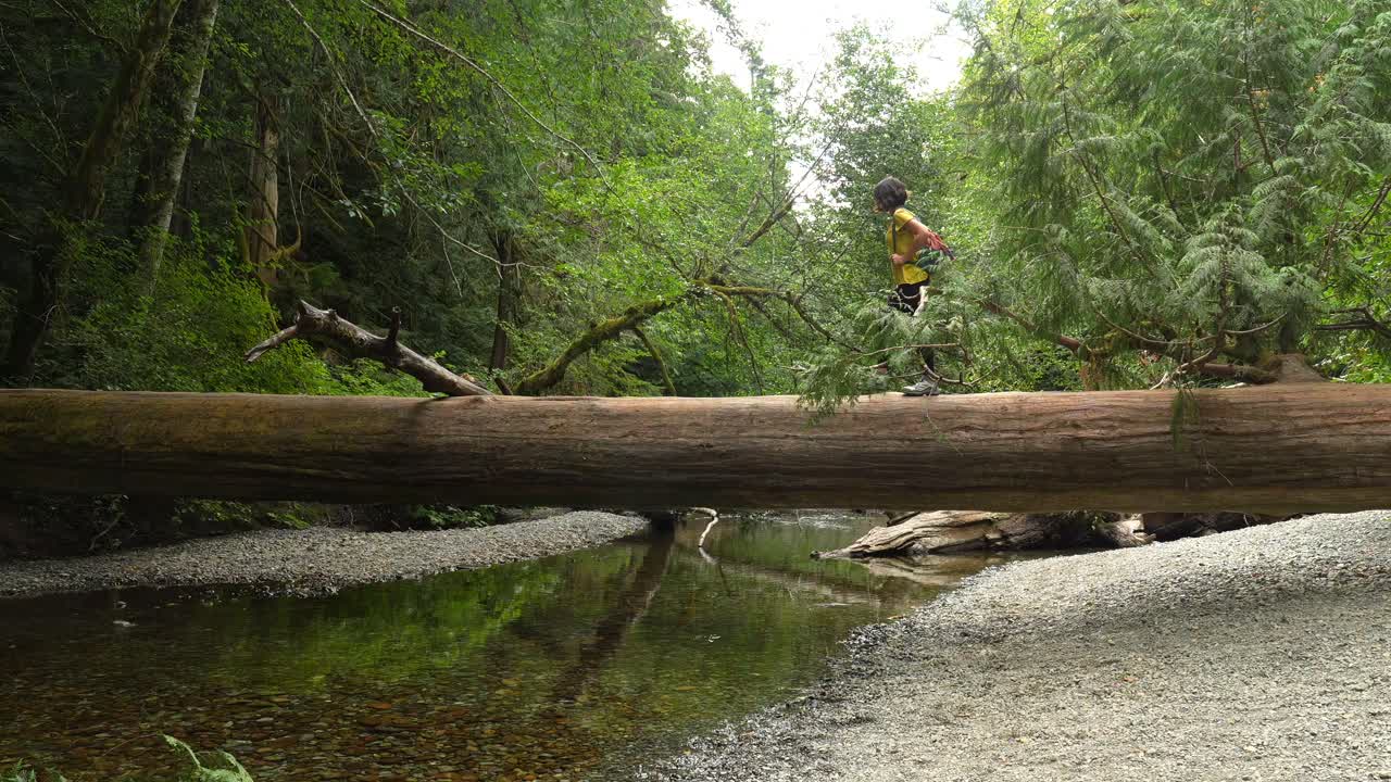 Donna che cammina su un albero caduto in una foresta