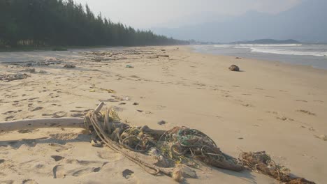 net entangled driftwood