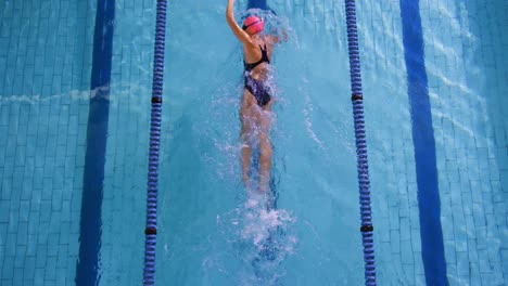 entrenamiento de nadadores en una piscina
