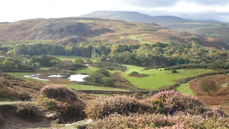 welsh countryside rural farming mountain range valley landscape dolly right