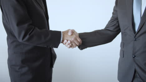 male business partners shaking hands and standing at white wall