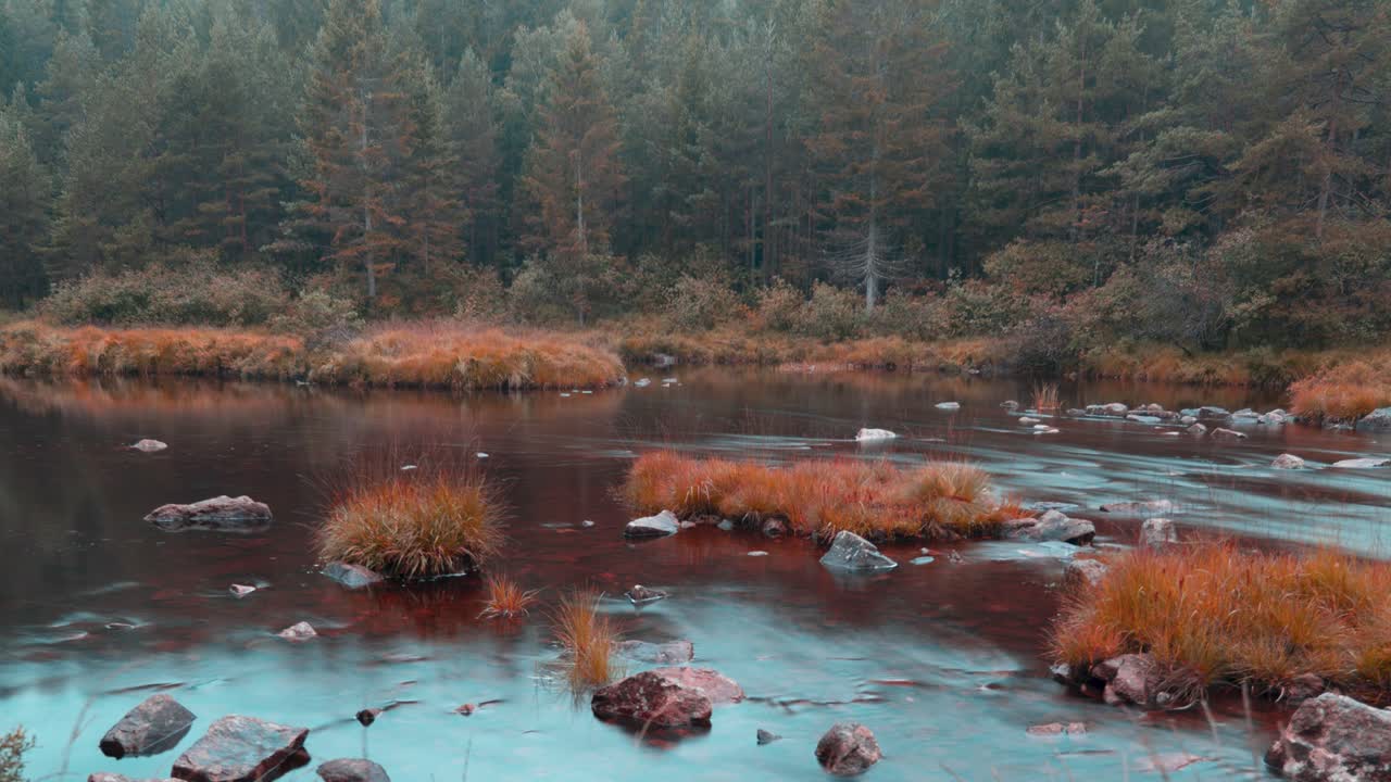 View of a shallow river with tussocks of withered grass and rocky bottom