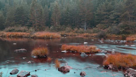 View-of-a-shallow-river-with-tussocks-of-withered-grass-and-rocky-bottom