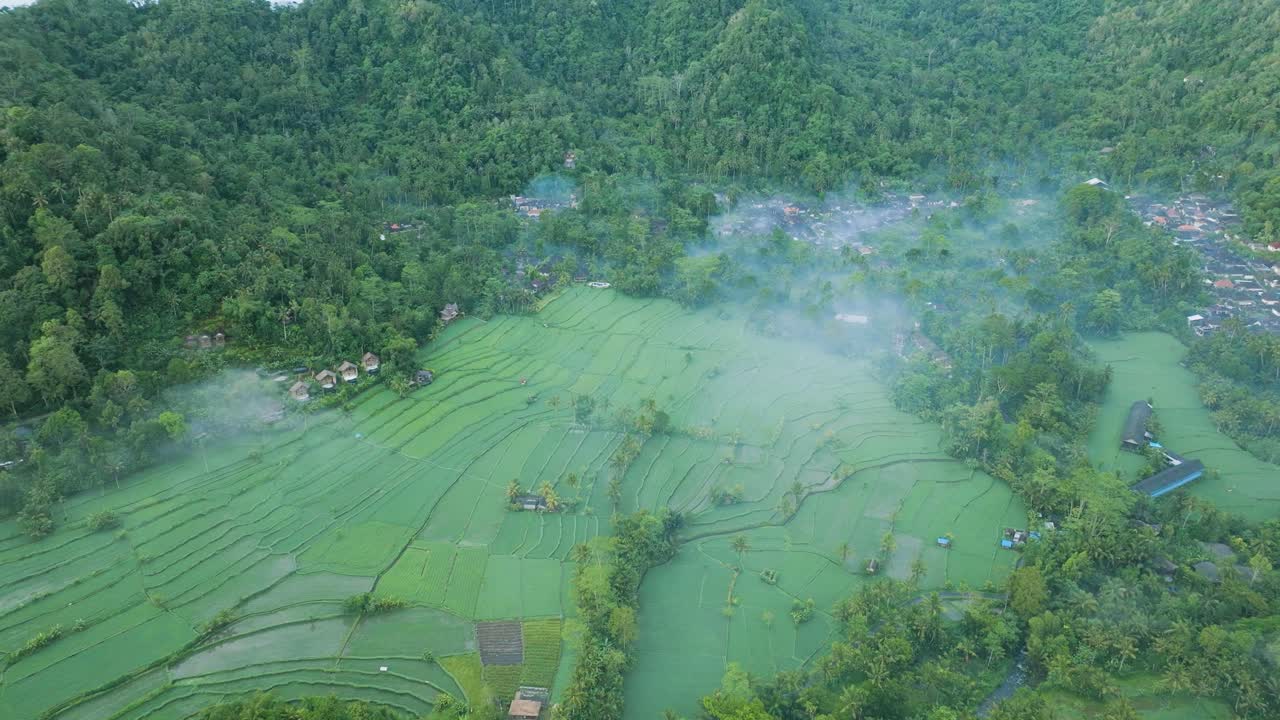 High 4K drone descending shot over rice fields in Sidemen, Bali with fog and mist. Traditional farming and Balinese rural life from above.