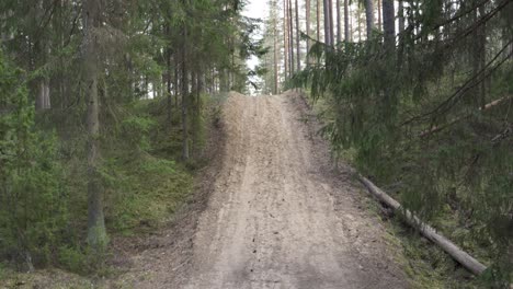 forest dirt road with slight slope in tilting up shot