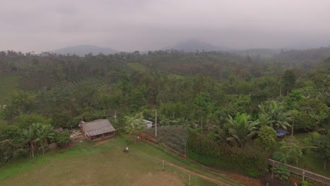 finca al borde de un bosque en ecuador