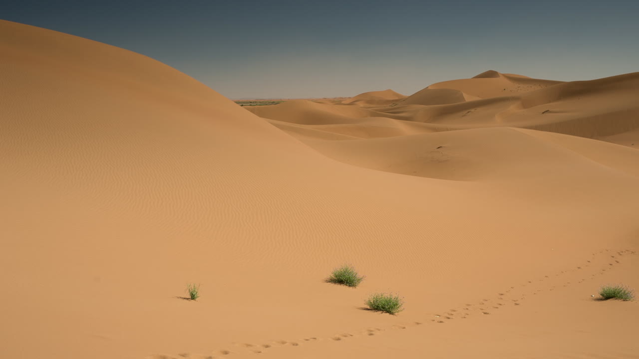 메르주가 사하라 사막 23