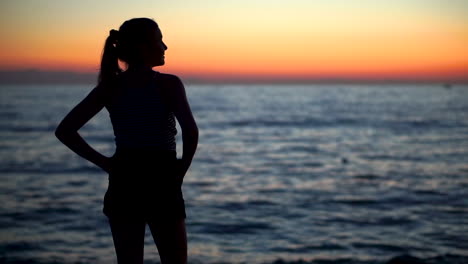 a silhouette of a young sexy lady standing at the shore with the majestic sundown on her background - medium shot
