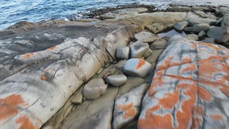 Drone-aerial-moving-fast-over-red-bay-of-fires-rocks-and-into-blue-ocean-with-waves