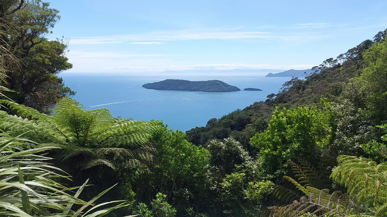 una vista de la isla motuara desde la pista de la reina charlotte en la isla sur de nueva zelanda
