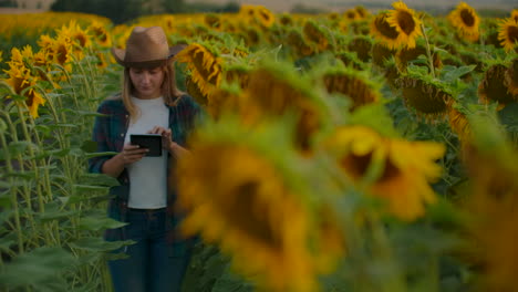 Eine-Studentin-Notiert-Zwischen-Großen-Sonnenblumen-Deren-Merkmale-Auf-Ihrem-IPad.-Sie-Bereitet-Eine-Wissenschaftliche-Arbeit-Zur-Botanik-Vor.