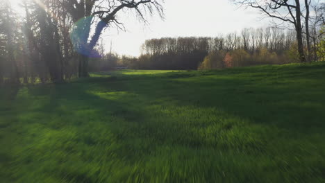 Eine-Schnelle-Weggeschnittene-Push-in-aufnahme-Einer-Grünen-Wiese-In-Cognac,-Frankreich