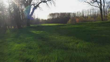 a quick cut-away push in shot of a green field in cognac, france