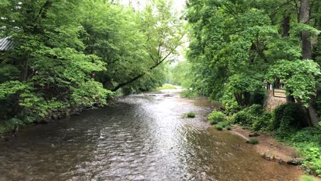 Flowing-river-through-a-dense-forest