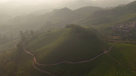 aerial view of tea gardens at munnar, kerala, india