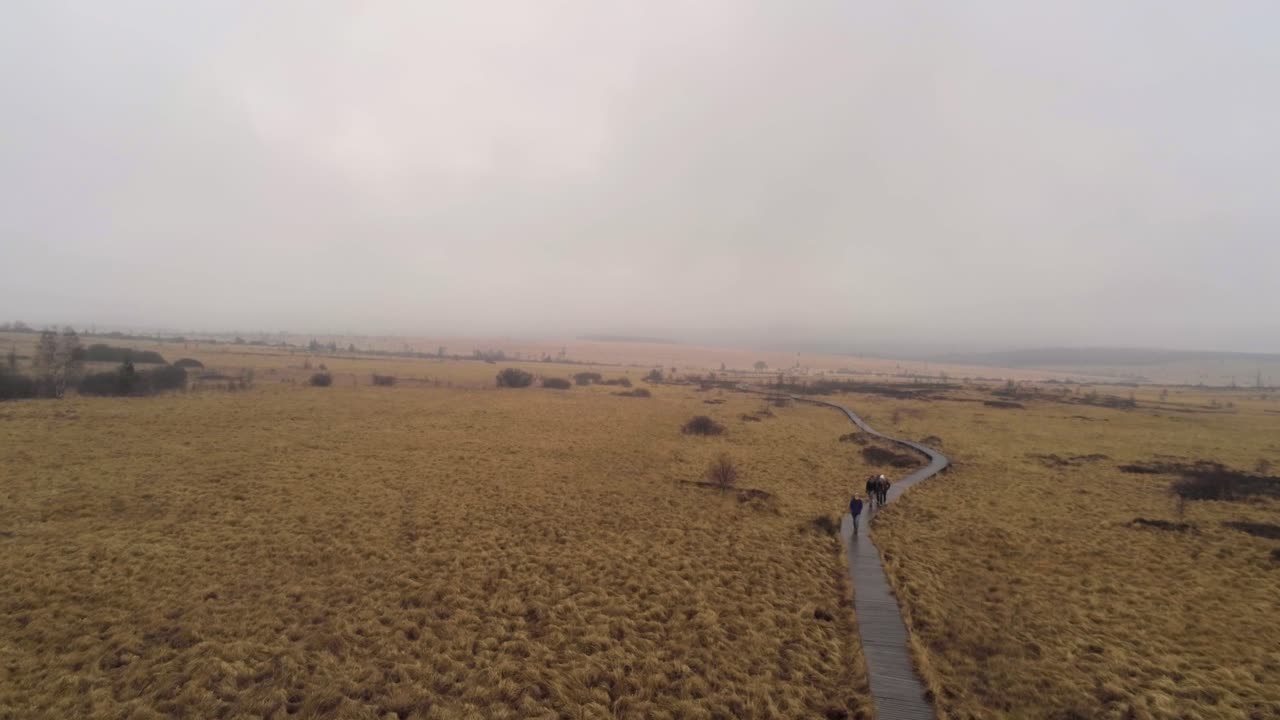 la gente camina por el sendero de madera en los pantanos altos, parque natural de eifel, bélgica