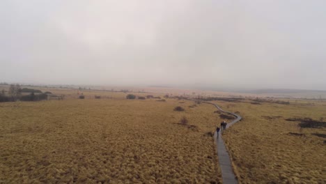 La-Gente-Camina-Por-El-Sendero-De-Madera-En-Los-Pantanos-Altos,-Parque-Natural-De-Eifel,-Bélgica