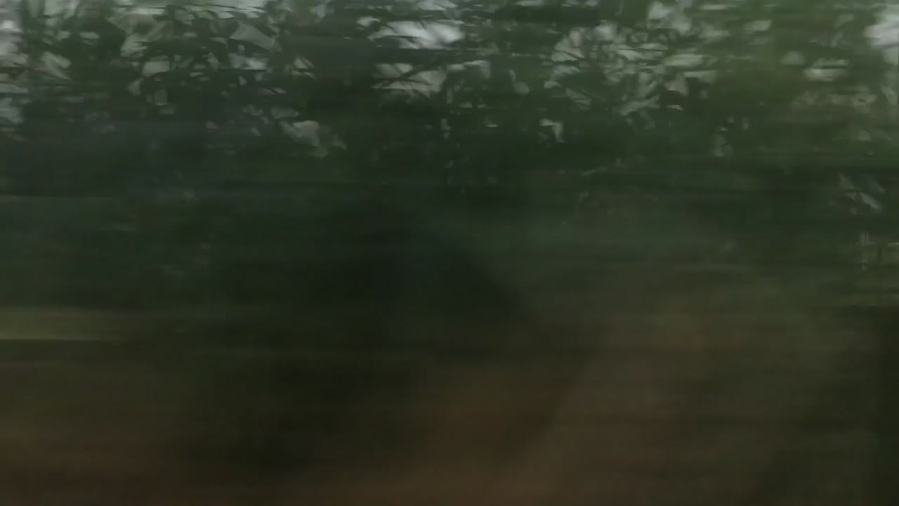 Train ride in Portugal