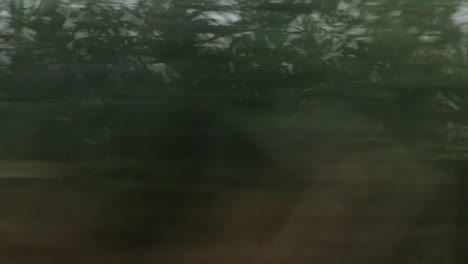 train ride in portugal