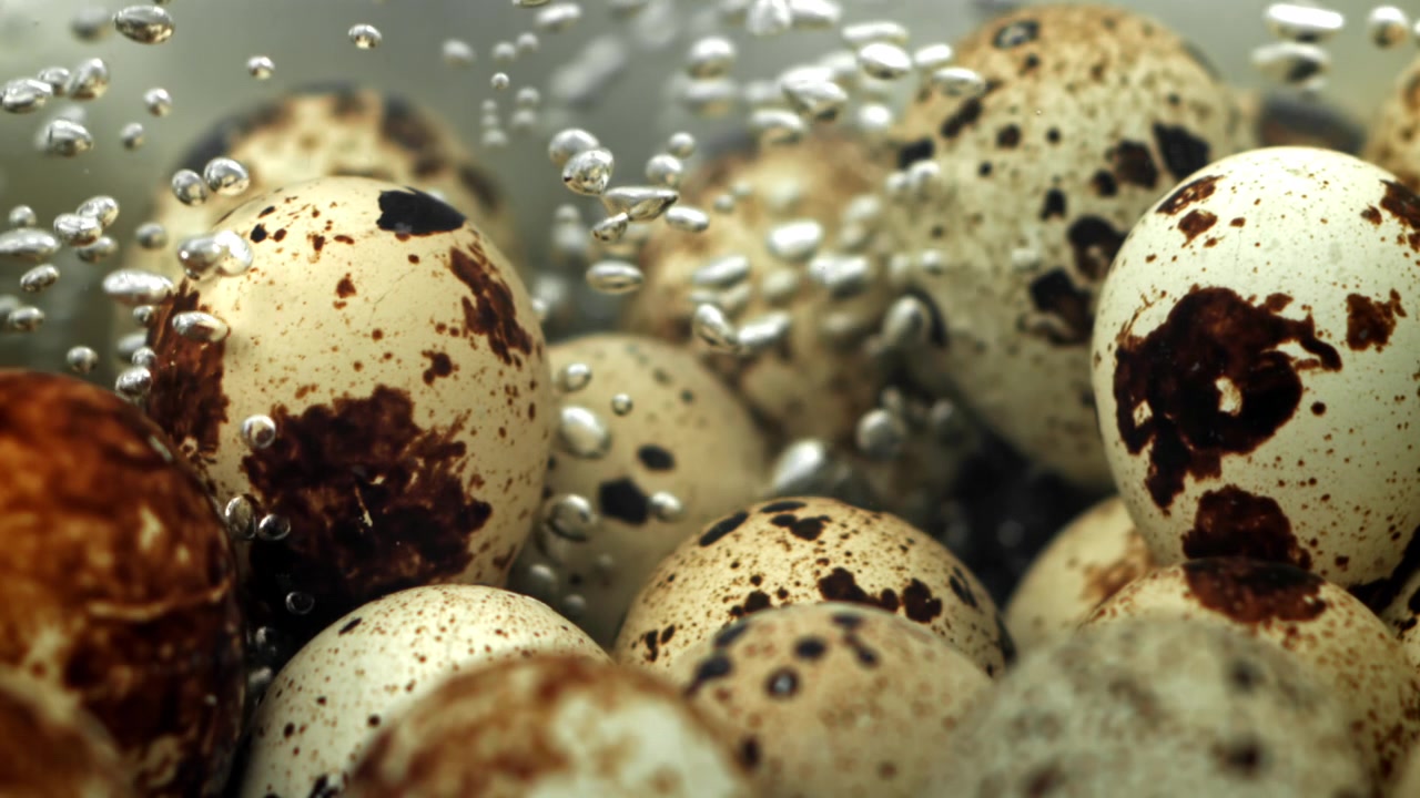 Close-up of Quail Eggs Boiling in Water with Bubbles