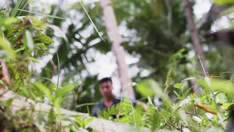 active young man running in rainforest during daytime
