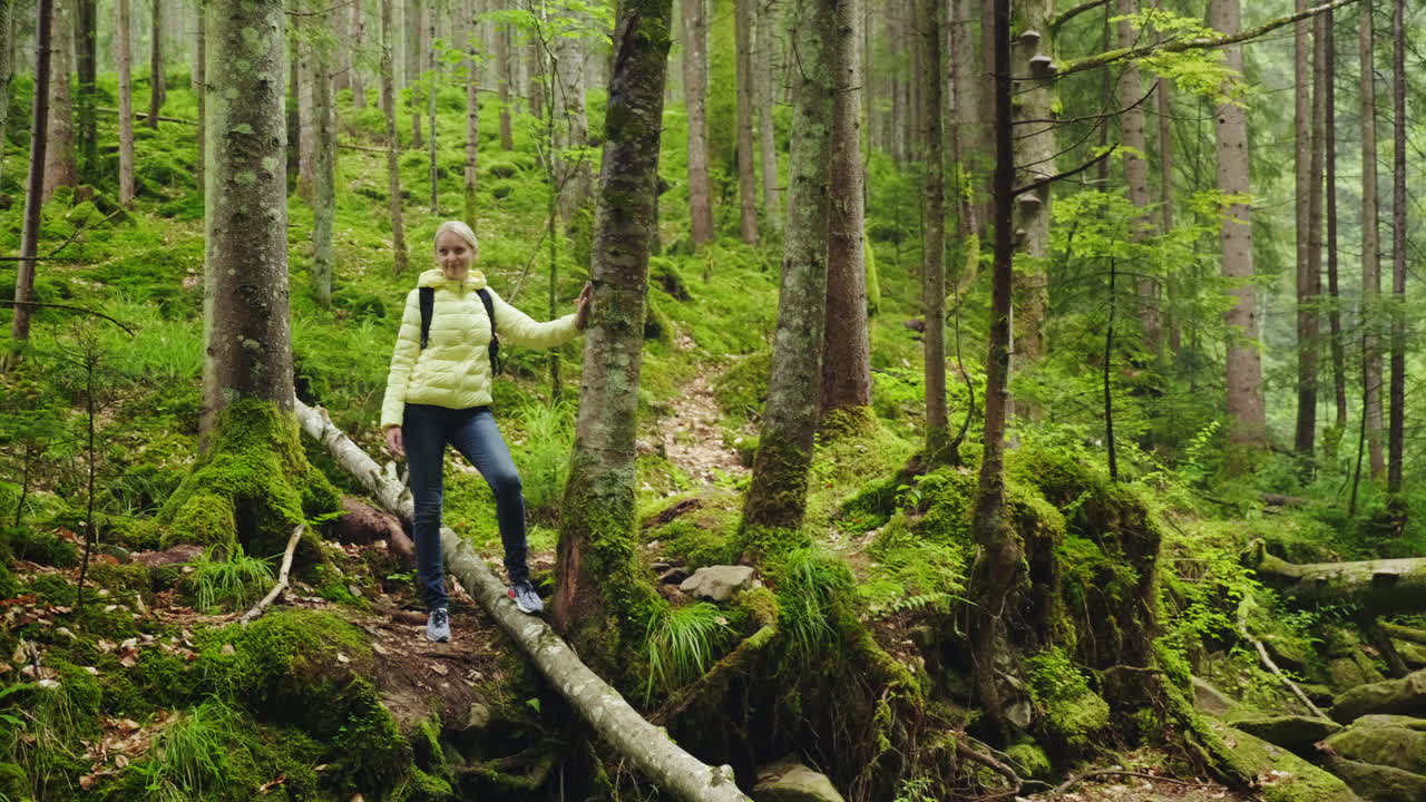 한 여성이 숲속의 관광객으로 아름다운 전망을 감상하며 나무 근처에 휴식을 취하고 있습니다.