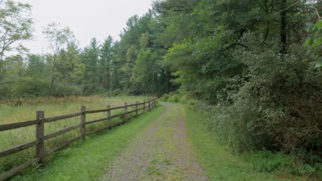 Walking-a-pathway-with-a-rail-fence-on-one-side-and-a-forest-on-the-other-side