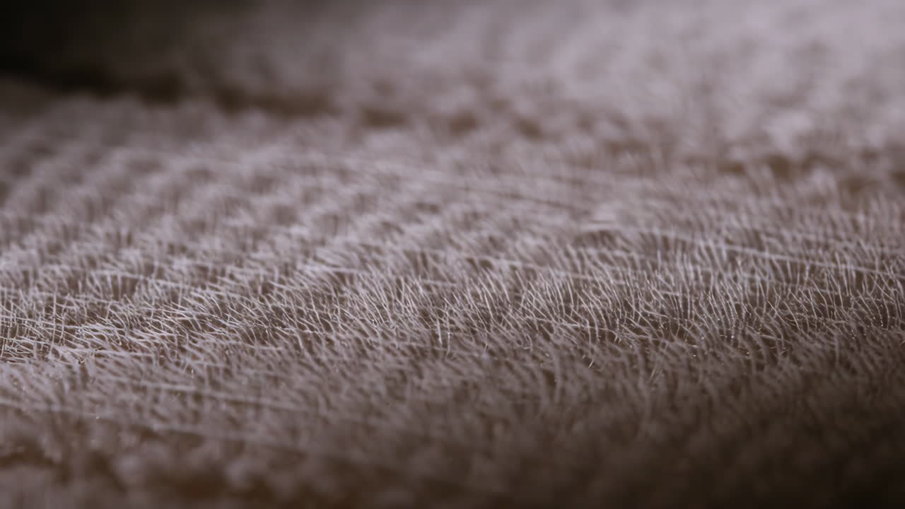 Macro Close-up of Human Skin Texture with Fine Hairs