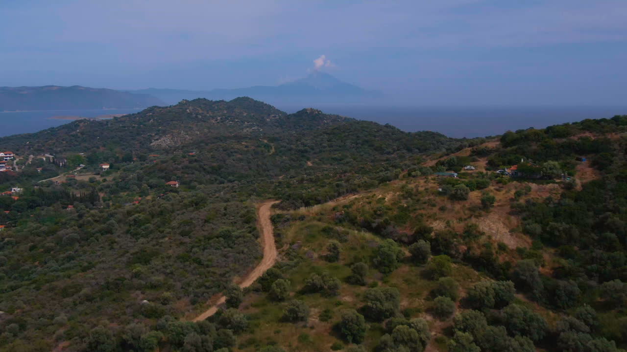 Volo di uccelli sopra la foresta sull'isola di Athos in Grecia