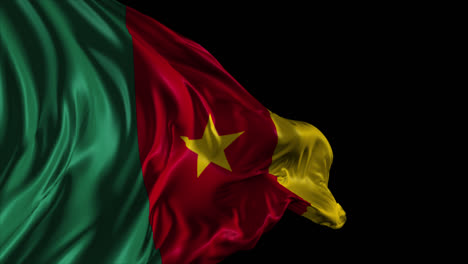 waving cameroon flag