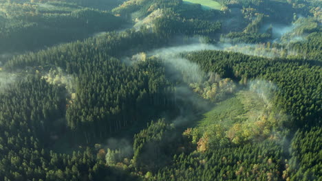 cloud of mist through the green forest of sommerain, belgium -aerial