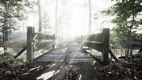 Escalones-De-Madera-En-El-Bosque-Desaparecieron-En-La-Espesa-Niebla